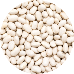 beanspulses c7 pattern L Adobestock 58993982