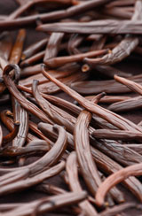 vanilla bean pods