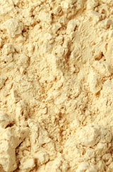 vanilla protein powder