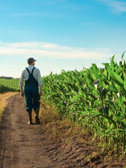 farmer walking next to crops