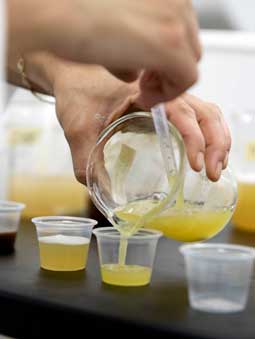 Hand holding beaker pouring juice into sample cups