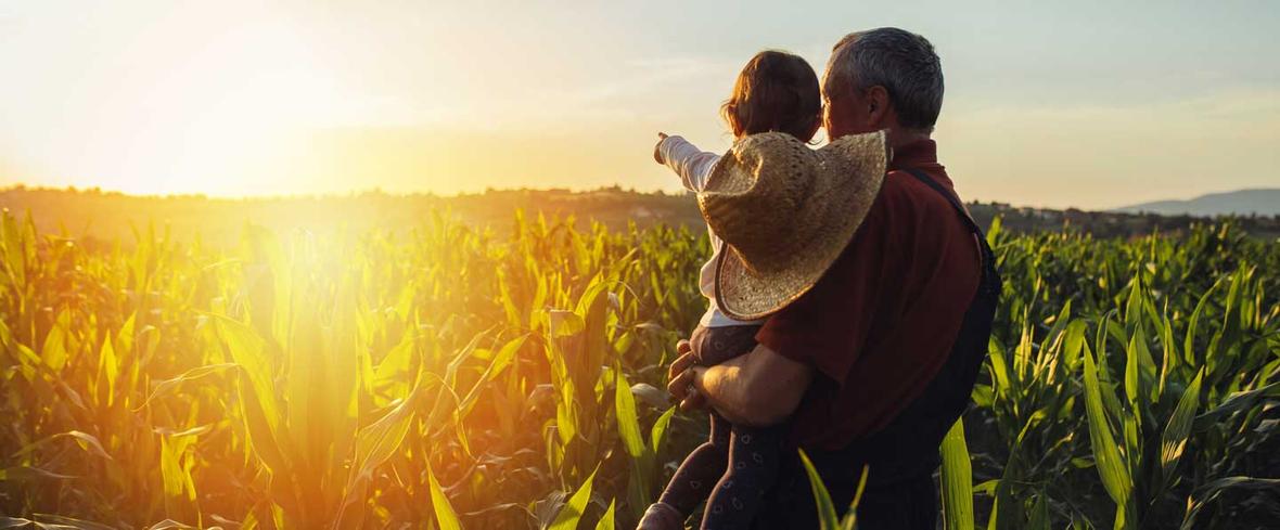 farmer and child in corn field