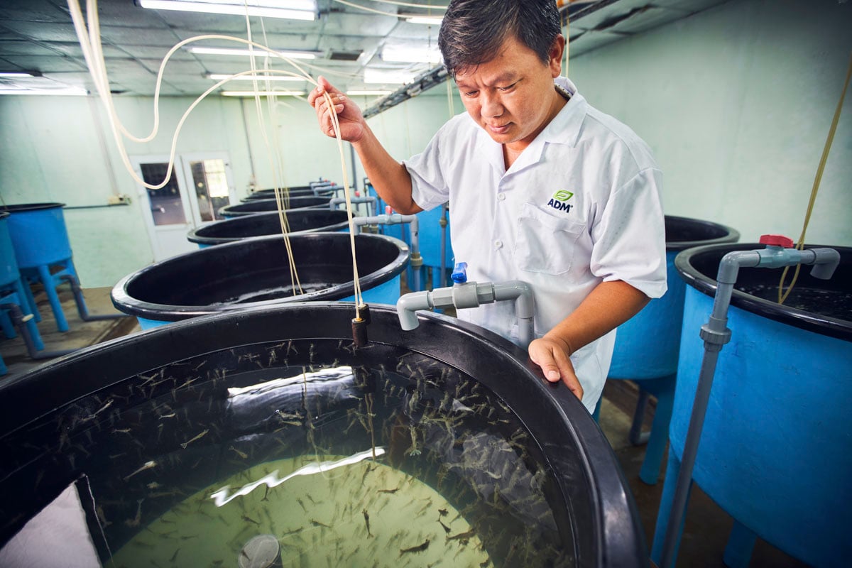 Man examining at aquaculture hatchery 1140 V2 2022 11 lores