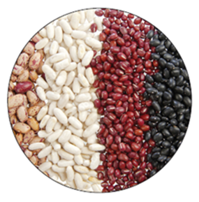 Beans and legumes