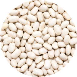 beanspulses c7 pattern L Adobestock 58993982