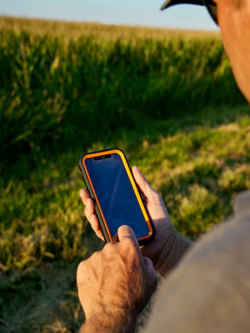 A person using a cell phone near a field