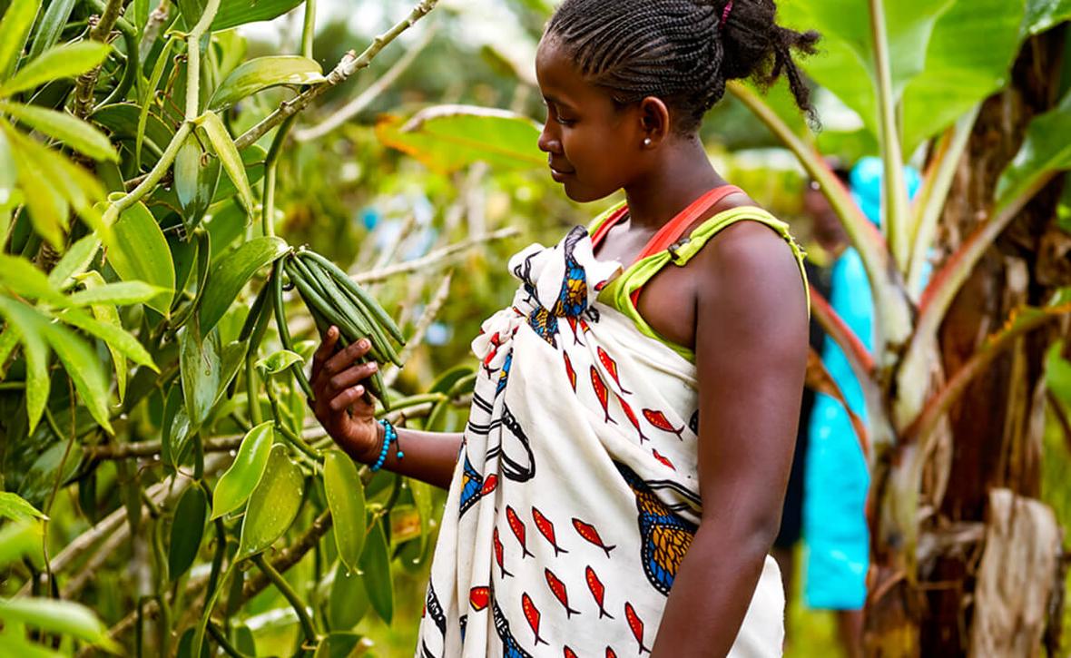 A person in a white wrap holding a green plant