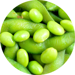 green legumes