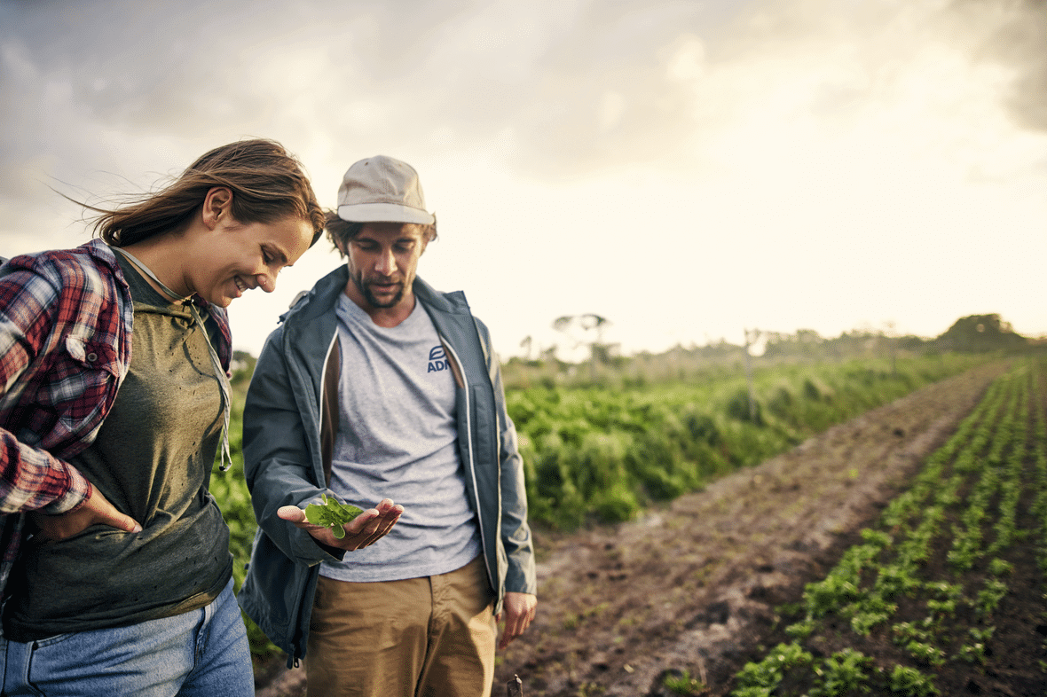 Farmers in field