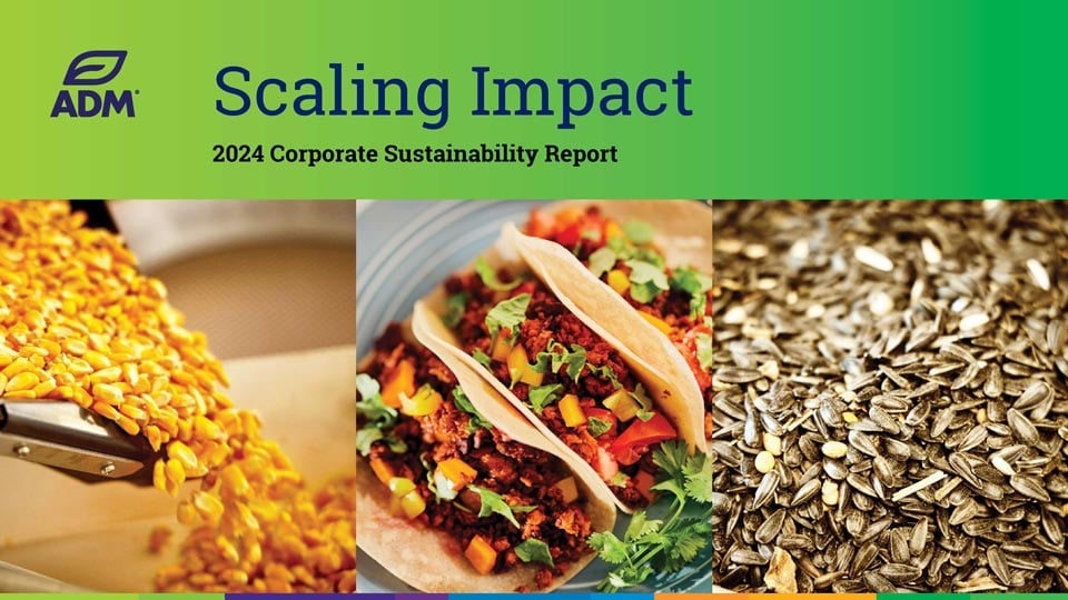 2024 corporate sustainability report cover