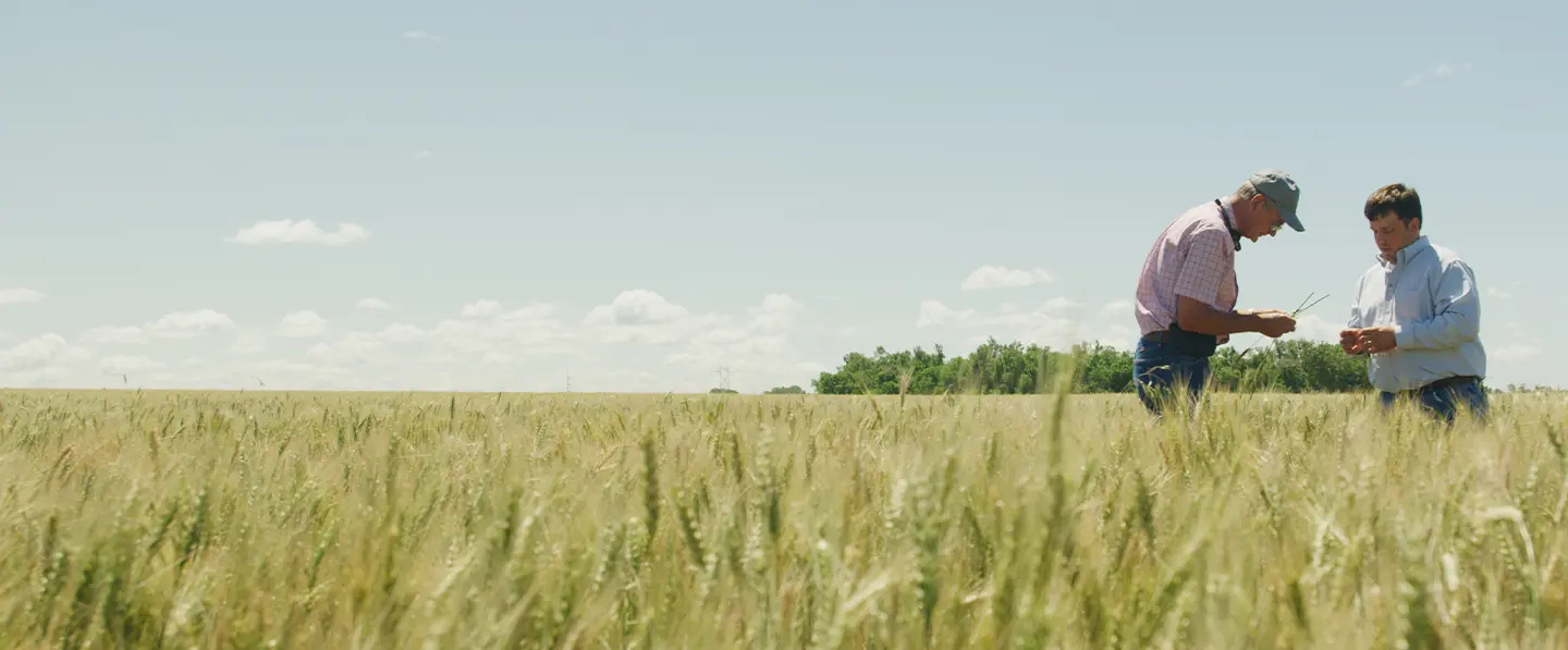 Farmer and rep in a field