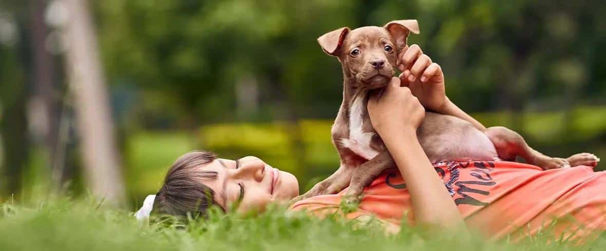 Boy with puppy on grass