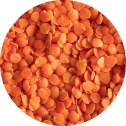 dry coral lentils