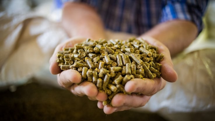 A farmer's hands holding animal feed