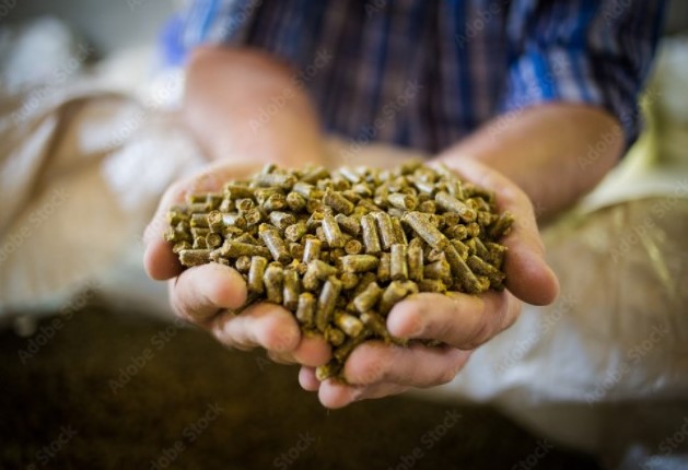 A farmer's hands holding animal feed