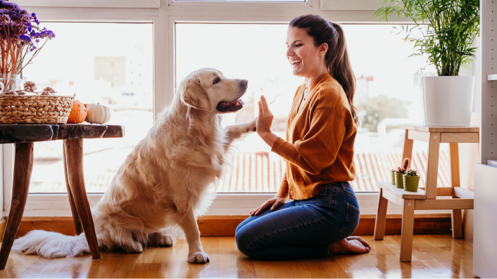 A woman is on her knees on the floor giving her dog a high paw.