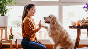 A woman is on her knees on the floor giving her dog a high paw.