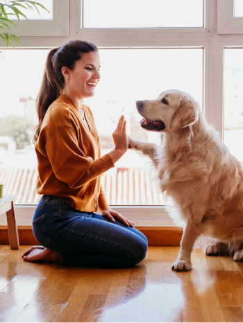 A woman is on her knees on the floor giving her dog a high paw.