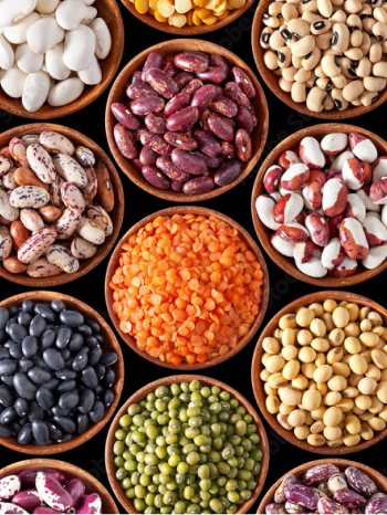 A close-up shot of multiple small bowls containing natural ingredients, such as beans, peas, and more.