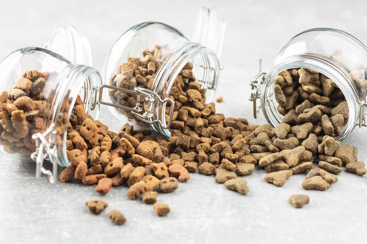 petfood AdobeStock 293441679 min