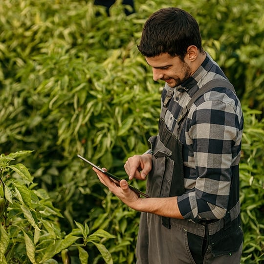 Grower in field researching information on his tablet device