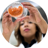 Drive innovation with our formulation expertise.