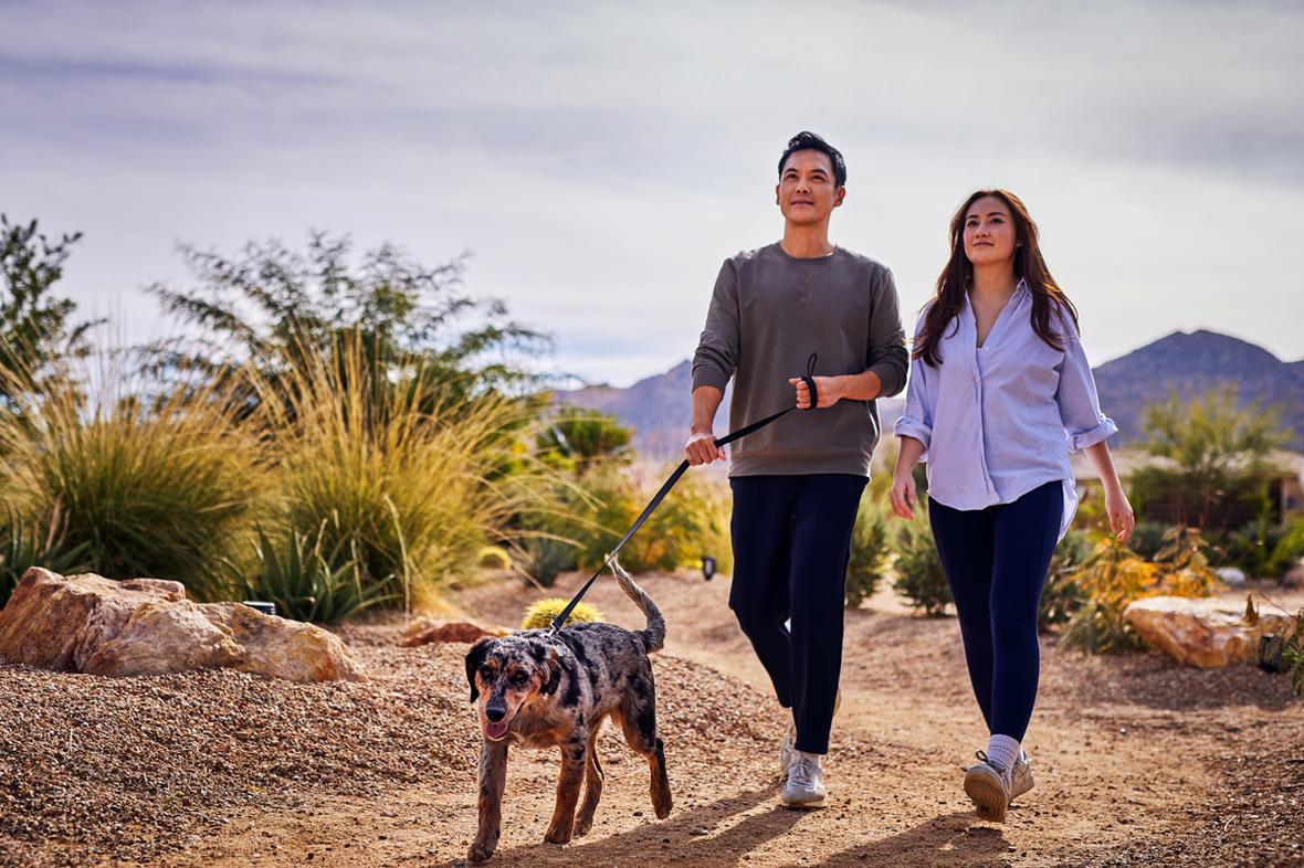 ADM 2026 Pet Insights Report