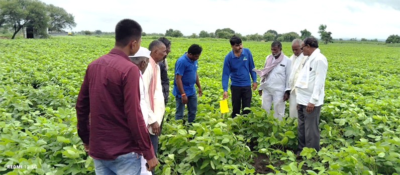 ADM Bayer Soybean Partnership