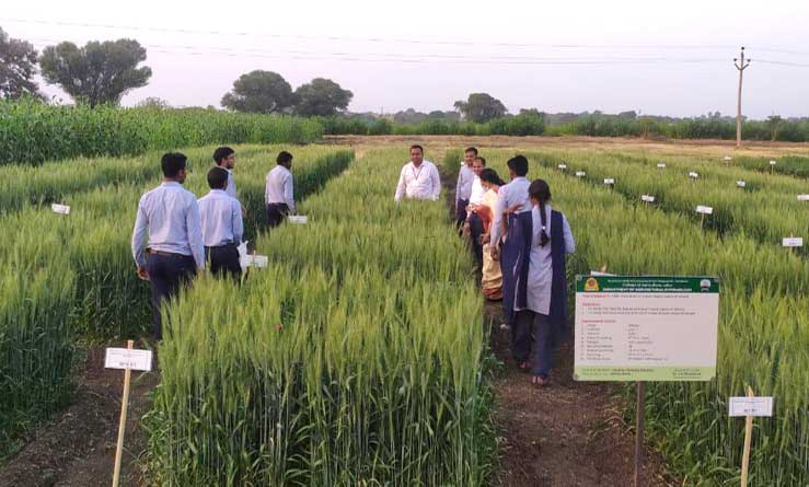 ADM Sustainable Agriculture