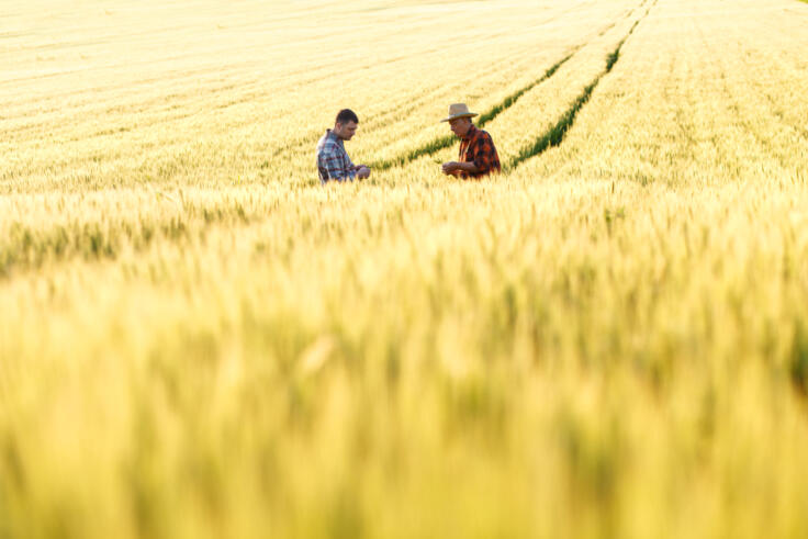 Two-farmers-in-a-field-examining-wheat-crop-GettyImages-628368384[1].jpg