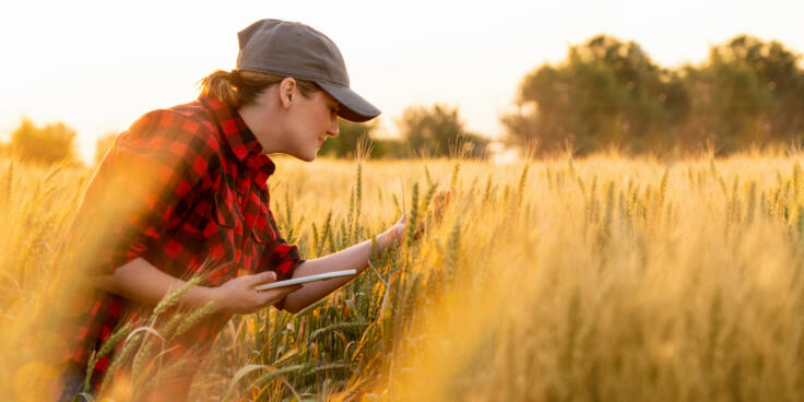 woman farmer examines the field of cereals GettyImages 1155461281[1]