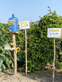 Stories Moving Fruit and Tea Farms Forward 255x339 (1)