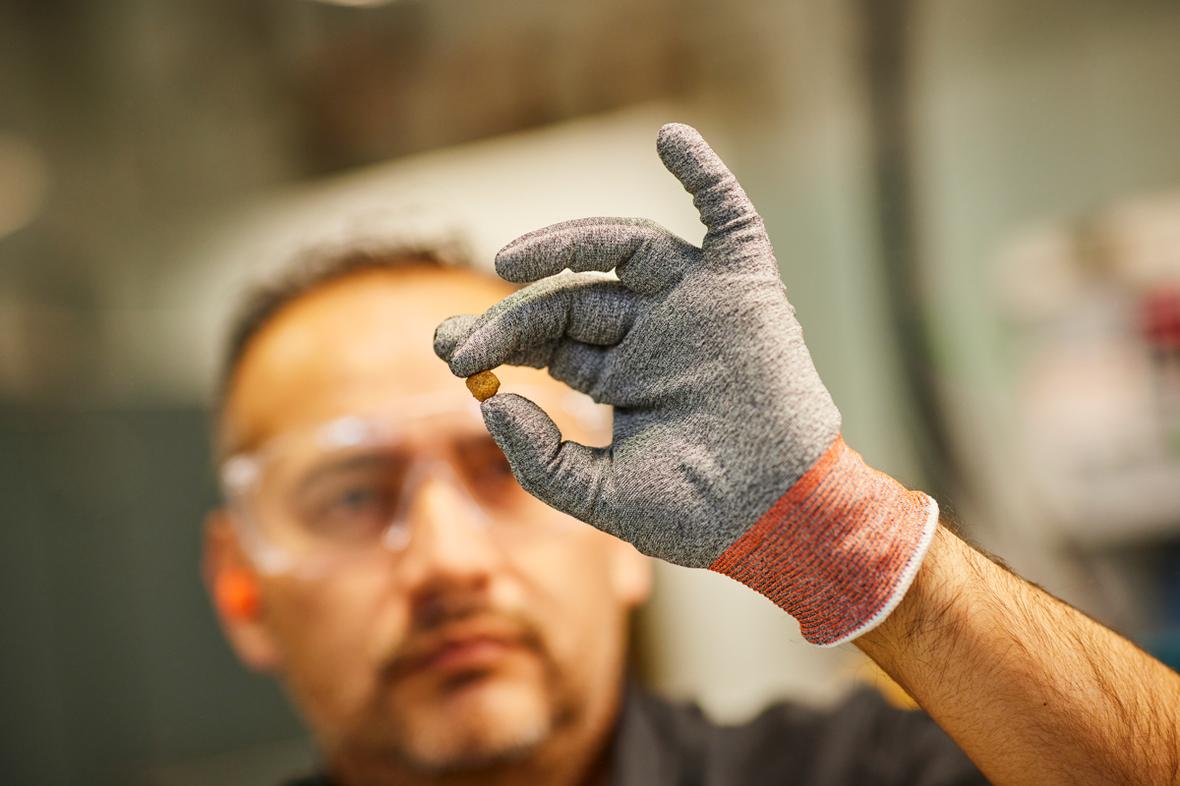 Scientist wearing safety gloves holding up a piece of kibble.