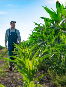 man walking by field