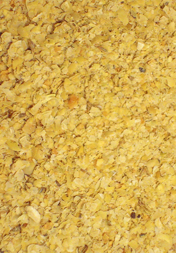 A close up of animal feed 