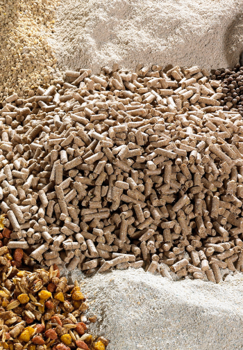 A close up of various animal feeds used for proper animal nutrition 