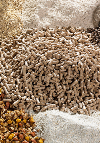 All About Animal Nutrition | ADM All About Animal Nutrition | ADM