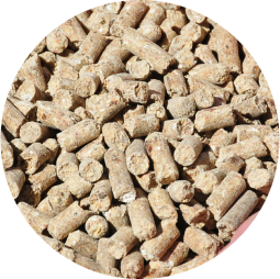 A close up cattle feed pellets