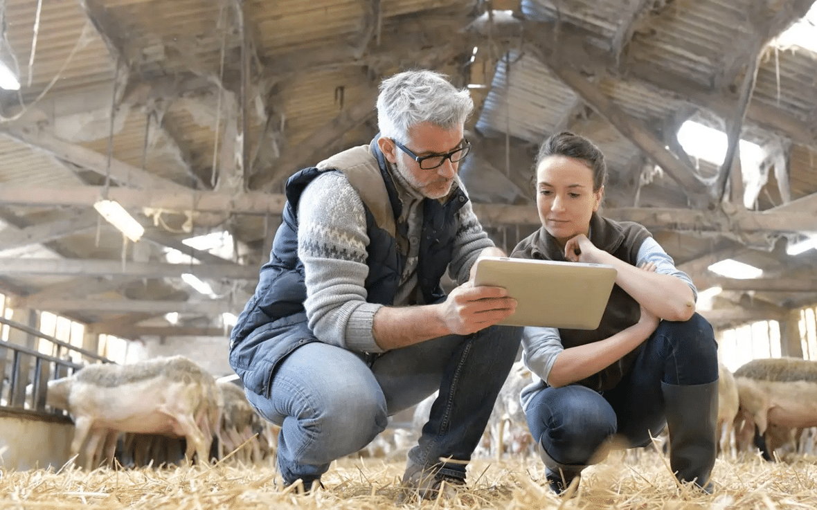 man and woman looking at tablet