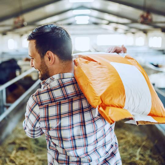 A man in a barn walking with a bag of feed slung over his shoulder. There are animals in the background.
