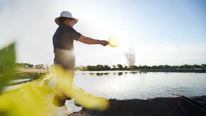 A man wearing a blue shirt with the ADM brand on the left arm is feeding the fishes, amidst a background containing additional fish farms, including clear blue skies and green coloured water.