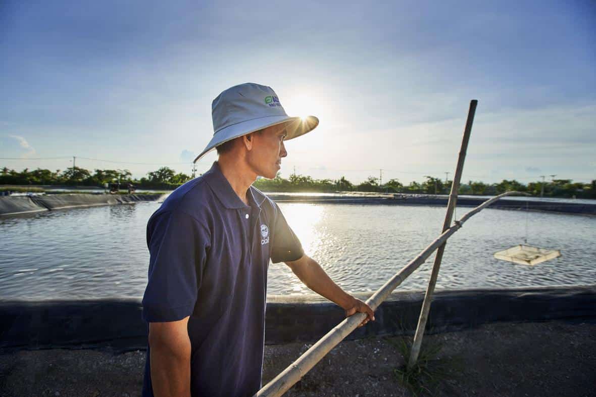 Man working at aquaculture nursery 02966 V2 2022 11 lores