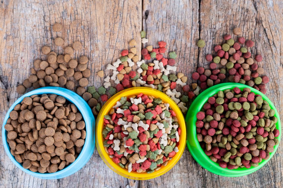 A variety of pet foods in colorful bowls