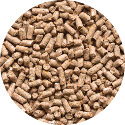 A close up of feed pellets