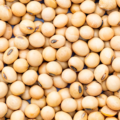 beans