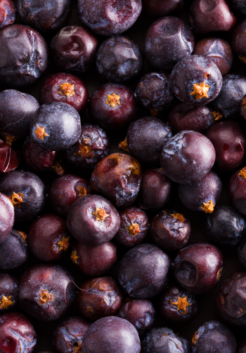 A close-up of blueberries.