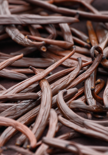 A close-up of vanilla bean pods.
