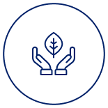 05 C65 Icon04 155x155px