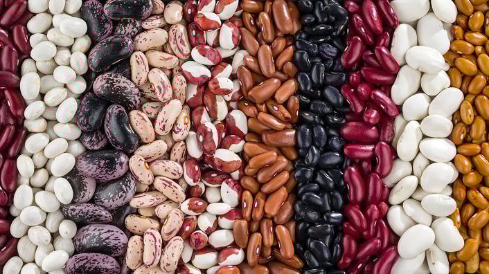 Rows of different types of beans