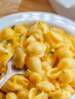 Close up of mac n cheese on a fork
